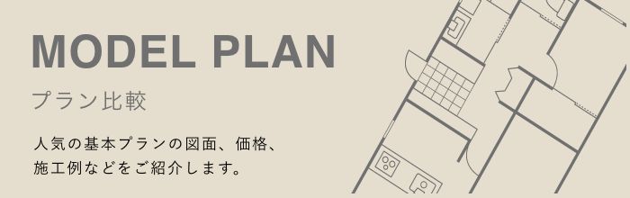 MODEL PLAN